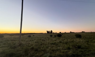 Chacra en venta - 15 Hectáreas San Carlos