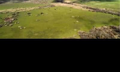 Campo Ganadero Agricola y Forestal, en Venta, Departamento de Rivera, limite con tacuarembo