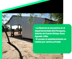 2 Campos en venta - Fuerte Olimpo Paraguay