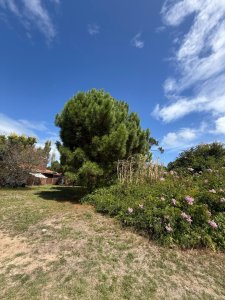 Terreno en La Residence