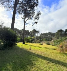 Terreno en venta - Chihuahua