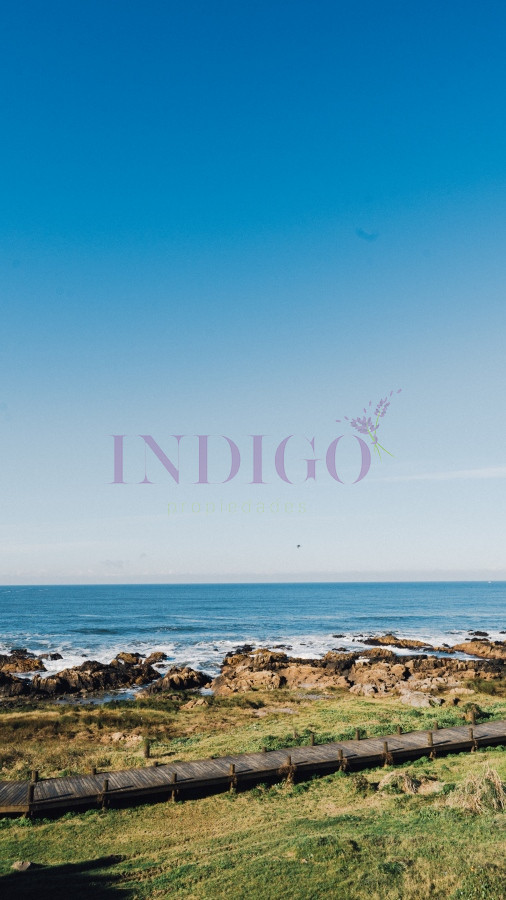 Montoya - GoPunta - Portal Inmobiliario de Punta del Este - Maldonado
