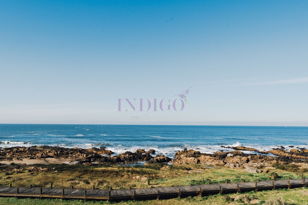 Montoya - GoPunta - Portal Inmobiliario de Punta del Este - Maldonado