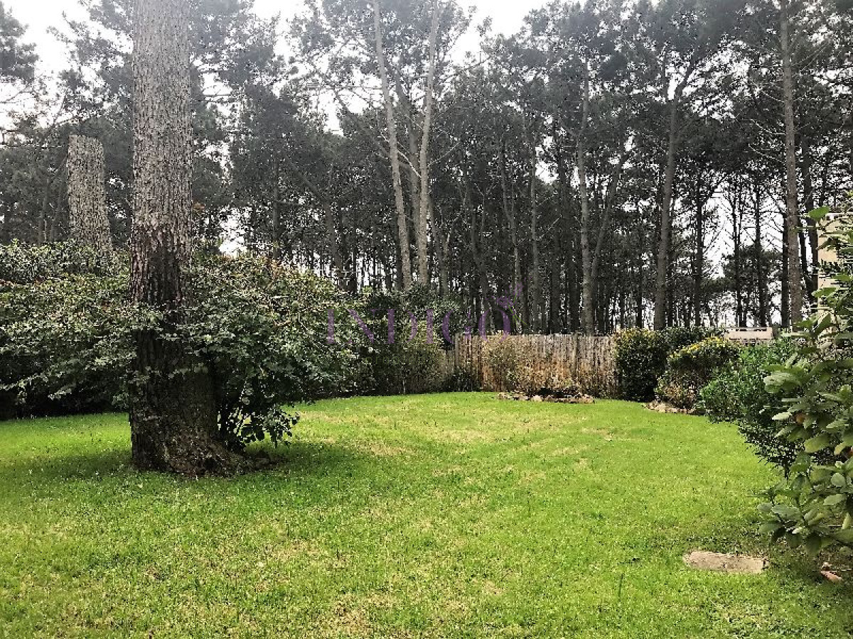Montoya - GoPunta - Portal Inmobiliario de Punta del Este - Maldonado