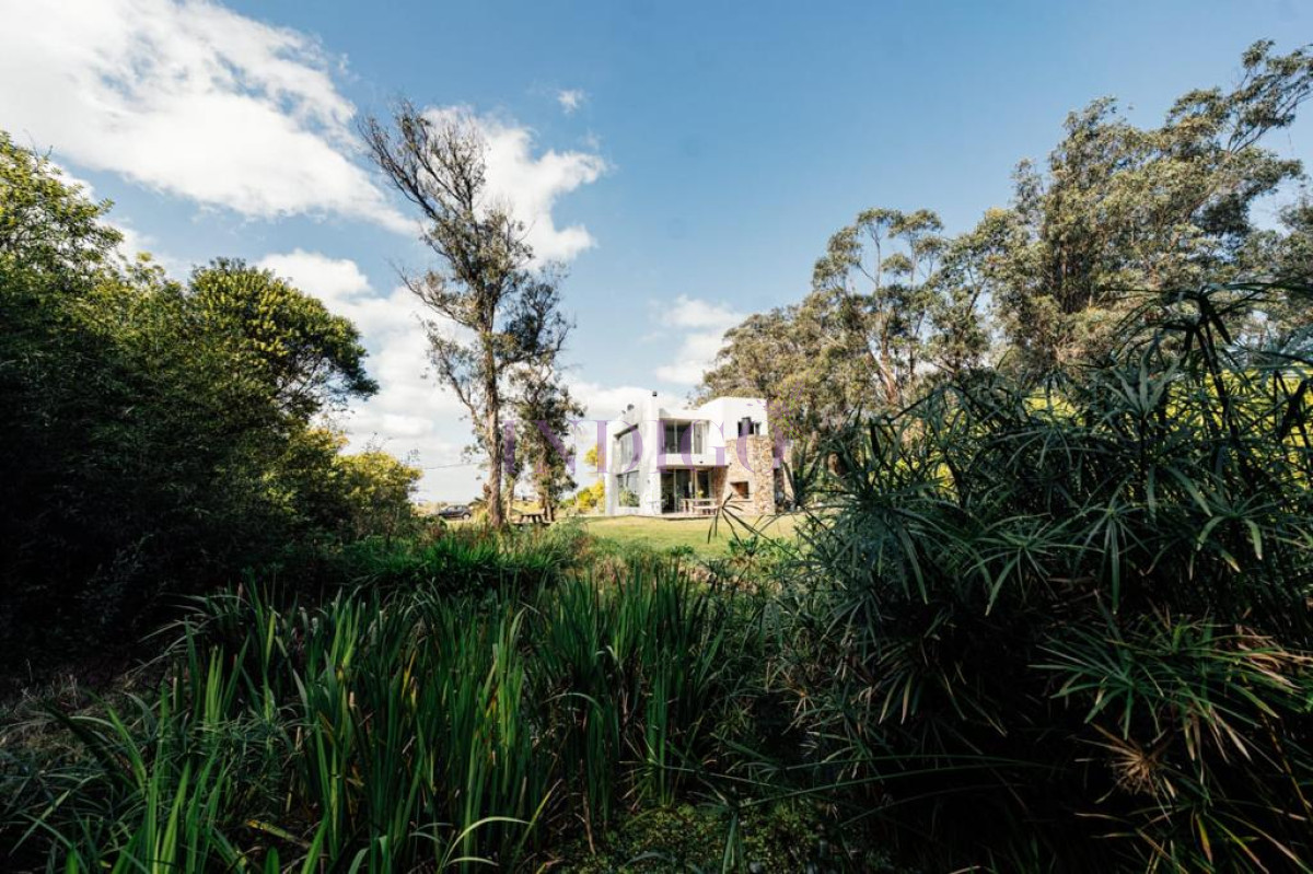 Santa Monica - GoPunta - Portal Inmobiliario de Punta del Este - Maldonado