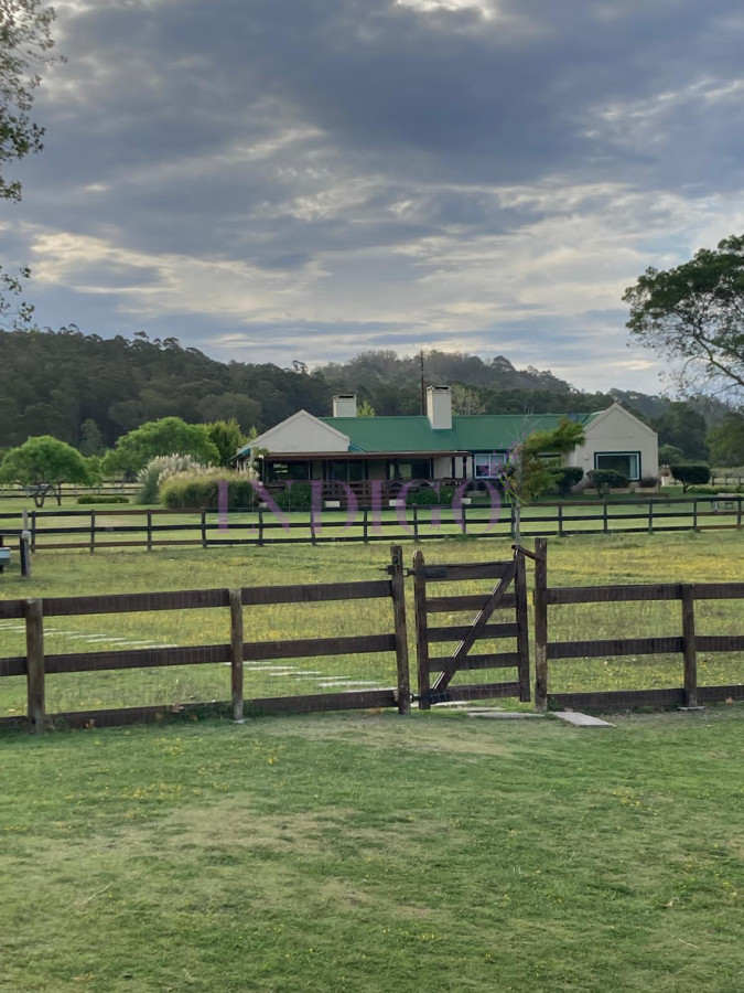 Camino a la Laguna - GoPunta - Portal Inmobiliario de Punta del Este - Maldonado