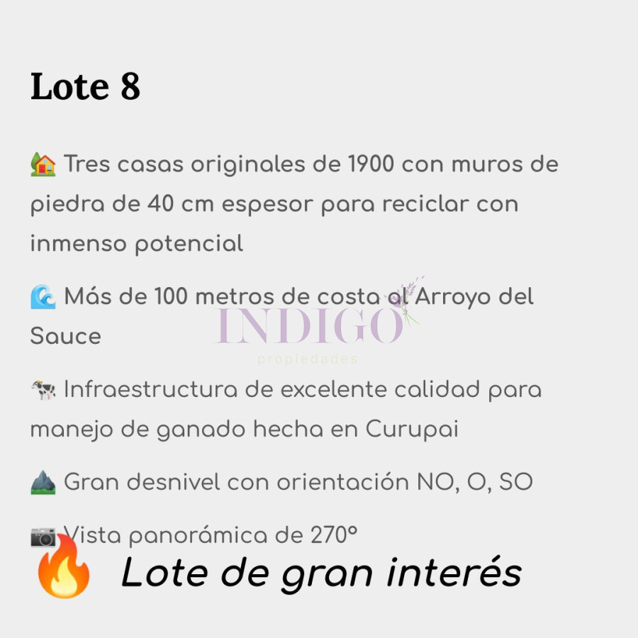 Chacra Ref.1113 - Chacras en Aigua! 14 lotes de 5-11 ha a un precio base de 9 mil dólares la Hectárea 