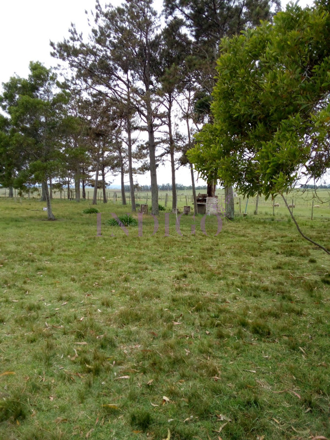 Chacra Ref.623 - Chacra de 5 hta muy completa