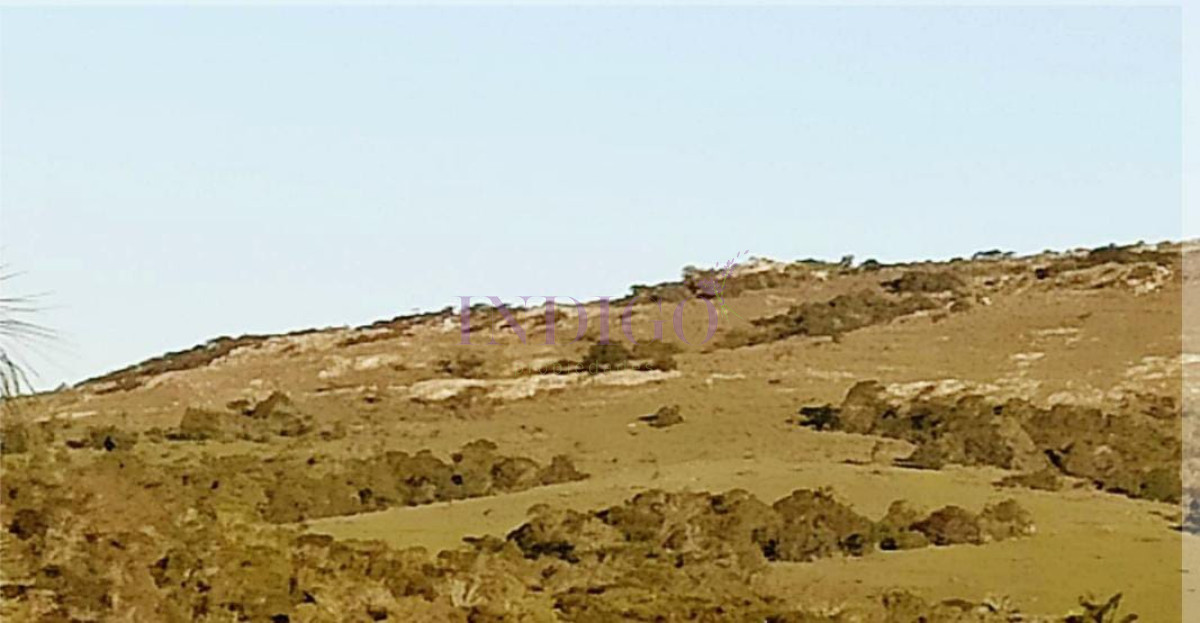 Chacra Ref.1152 - Chacra en zona de Las Cañas, Buenas Vistas con tajamar y arroyos!