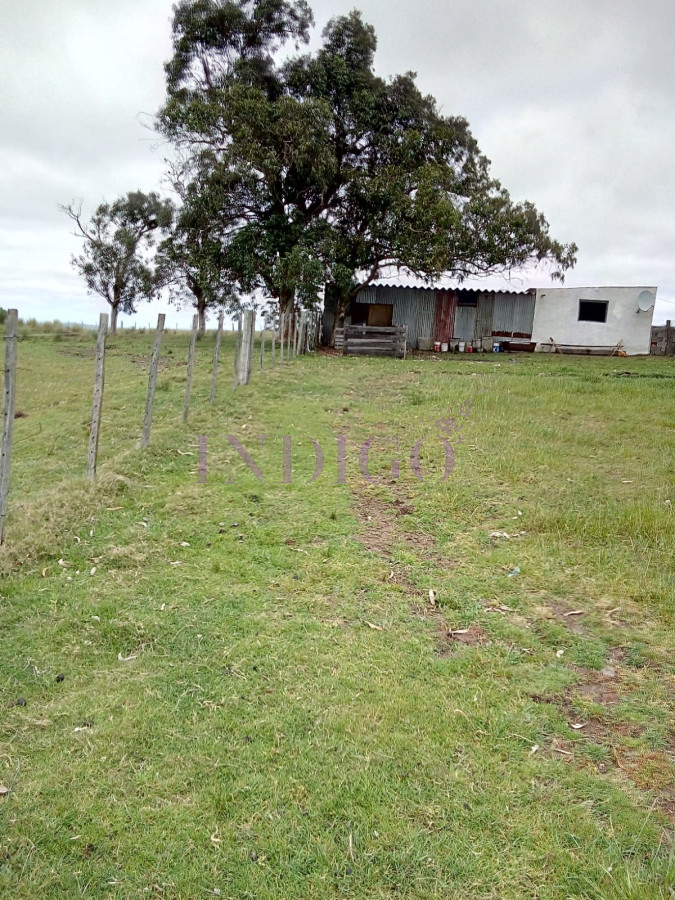 Chacra Ref.623 - Chacra de 5 hta muy completa