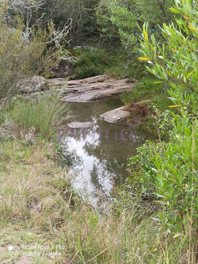Chacra Ref.1152 - Chacra en zona de Las Cañas, Buenas Vistas con tajamar y arroyos!