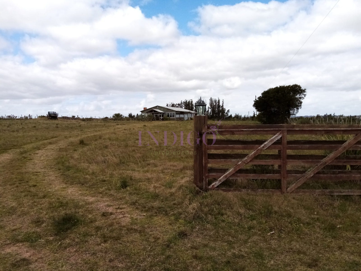 Chacra Ref.811 - Chacra en venta de 5 hectáreas con tajamar y casa