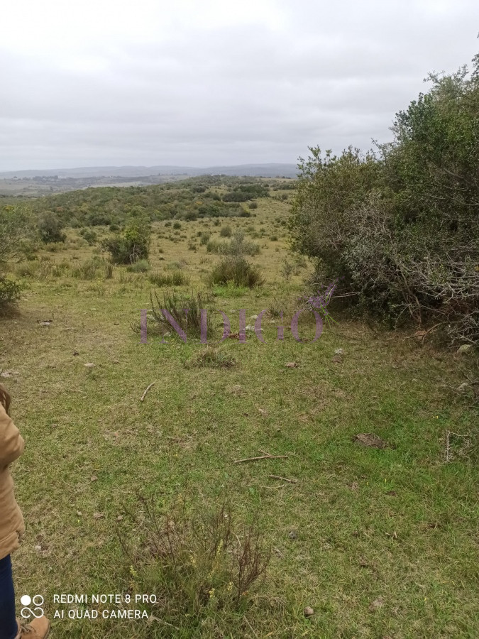 Chacra Ref.1152 - Chacra en zona de Las Cañas, Buenas Vistas con tajamar y arroyos!