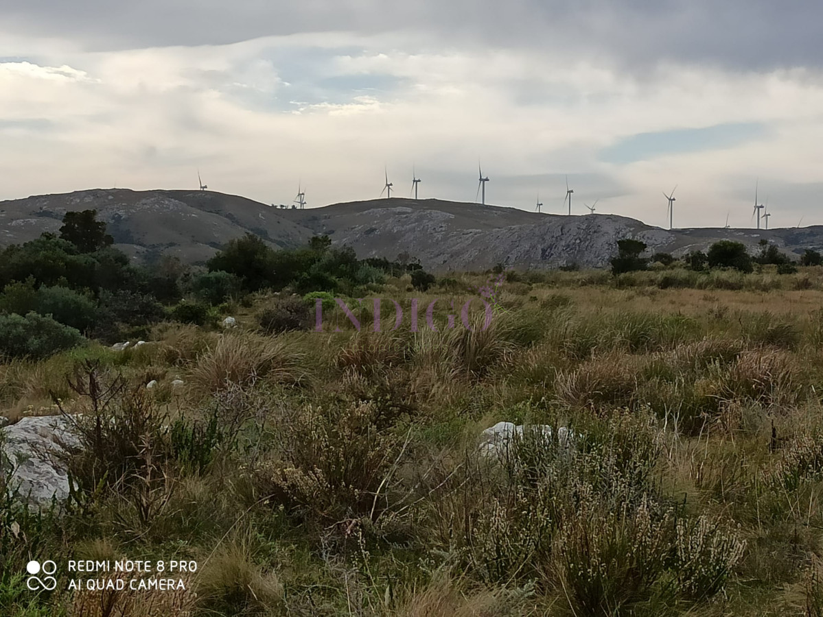 Chacra Ref.1152 - Chacra en zona de Las Cañas, Buenas Vistas con tajamar y arroyos!