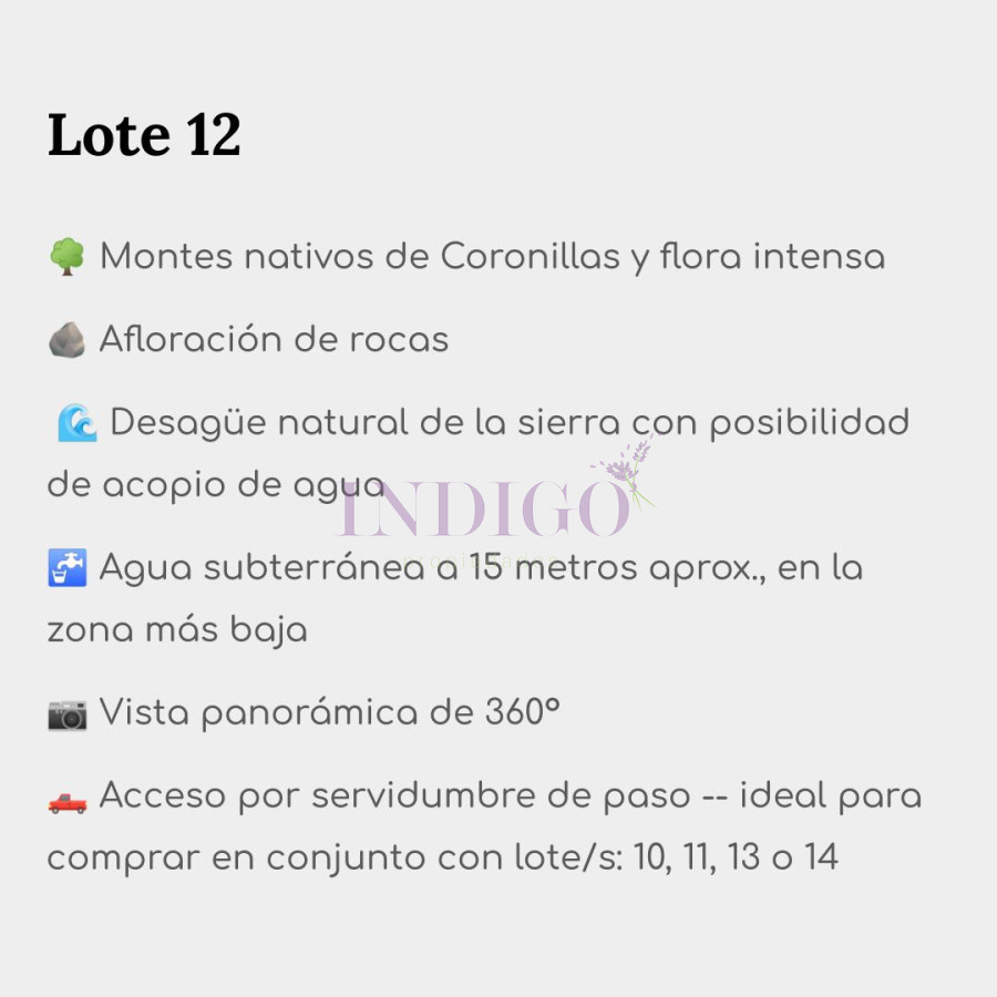 Chacra Ref.1113 - Chacras en Aigua! 14 lotes de 5-11 ha a un precio base de 9 mil dólares la Hectárea 