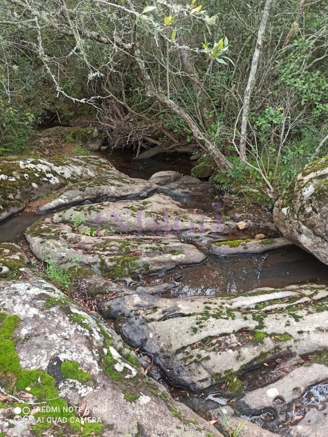 Chacra Ref.1152 - Chacra en zona de Las Cañas, Buenas Vistas con tajamar y arroyos!