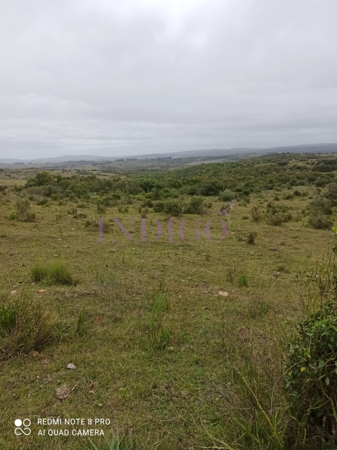 Chacra Ref.1152 - Chacra en zona de Las Cañas, Buenas Vistas con tajamar y arroyos!