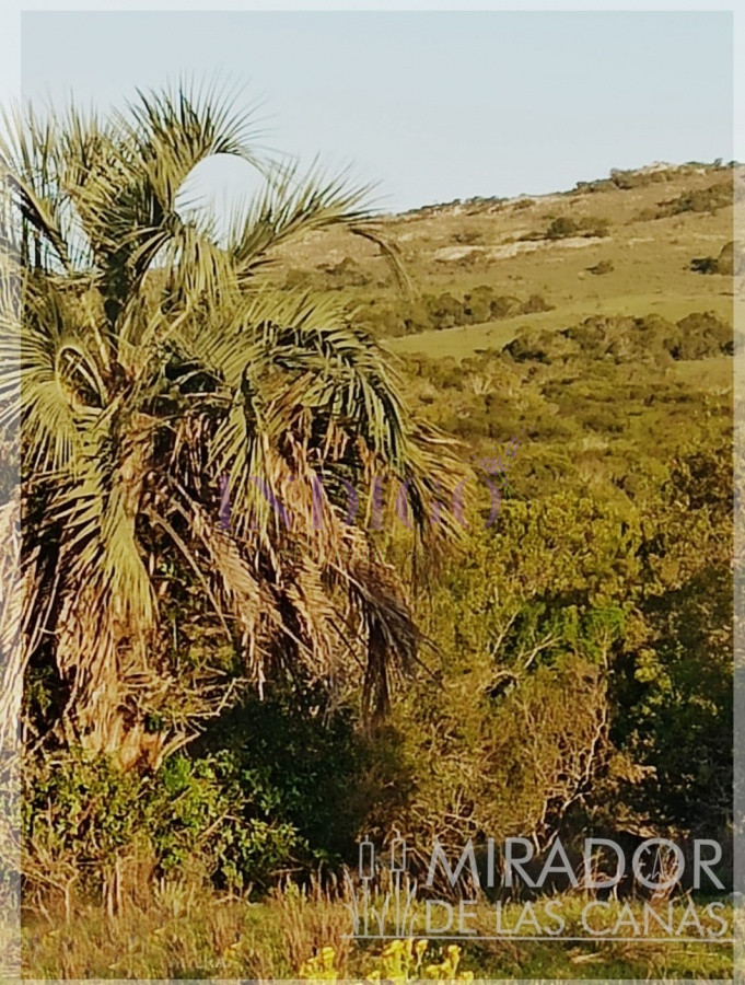 Chacra Ref.796 - Mirador de las Cañas!