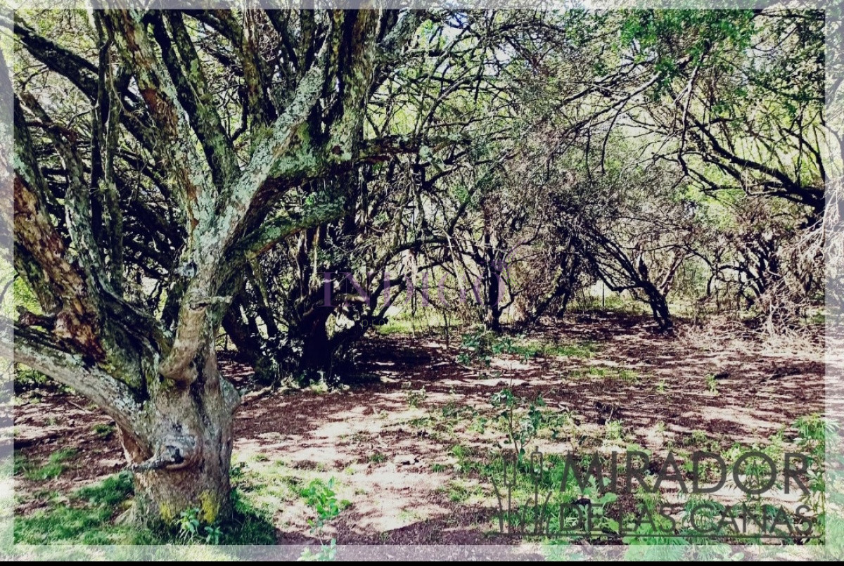 Chacra Ref.796 - Mirador de las Cañas!