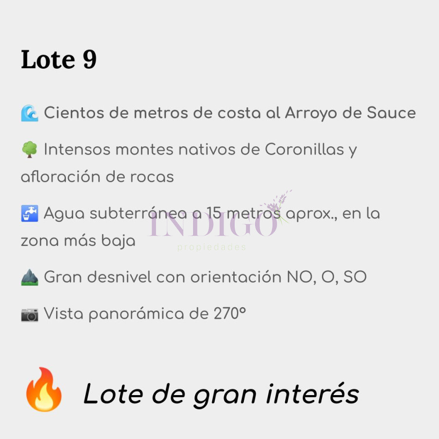 Chacra Ref.1113 - Chacras en Aigua! 14 lotes de 5-11 ha a un precio base de 9 mil dólares la Hectárea 