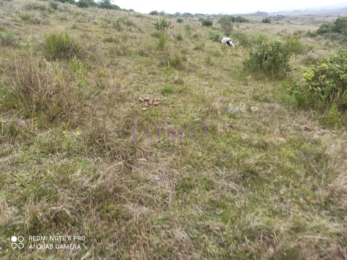 Chacra Ref.1152 - Chacra en zona de Las Cañas, Buenas Vistas con tajamar y arroyos!