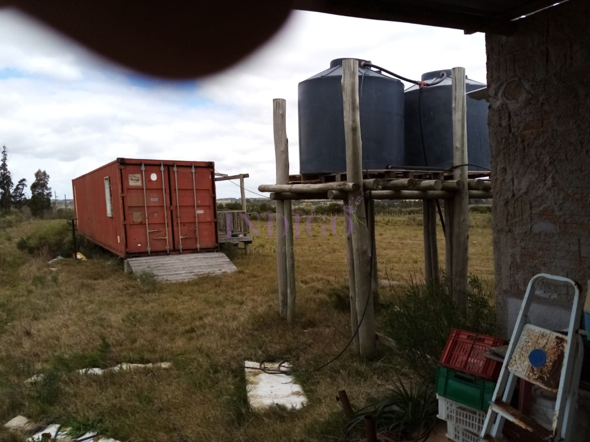 Chacra Ref.811 - Chacra en venta de 5 hectáreas con tajamar y casa