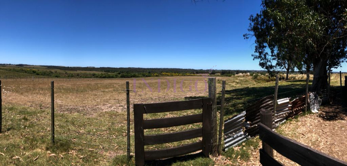 San Carlos - GoPunta - Portal Inmobiliario de Punta del Este - Maldonado