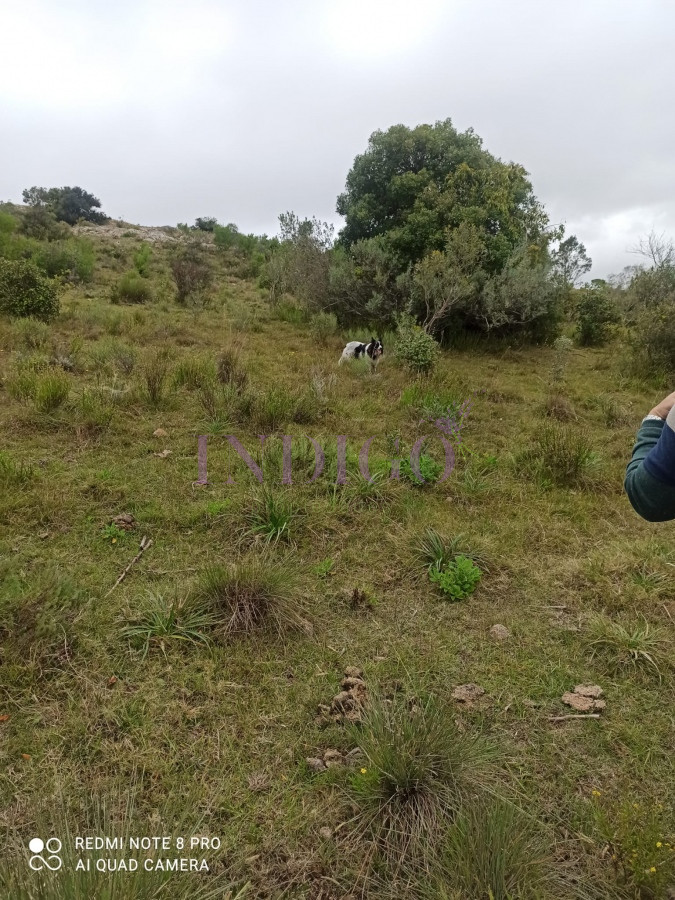 Chacra Ref.1152 - Chacra en zona de Las Cañas, Buenas Vistas con tajamar y arroyos!