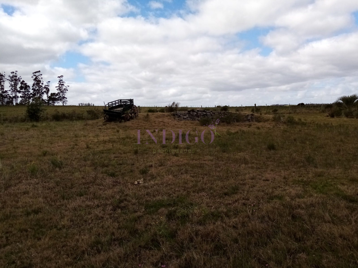 Chacra Ref.811 - Chacra en venta de 5 hectáreas con tajamar y casa