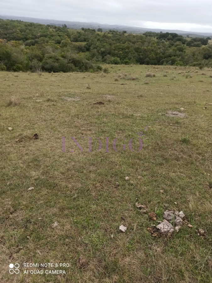 Chacra Ref.1152 - Chacra en zona de Las Cañas, Buenas Vistas con tajamar y arroyos!