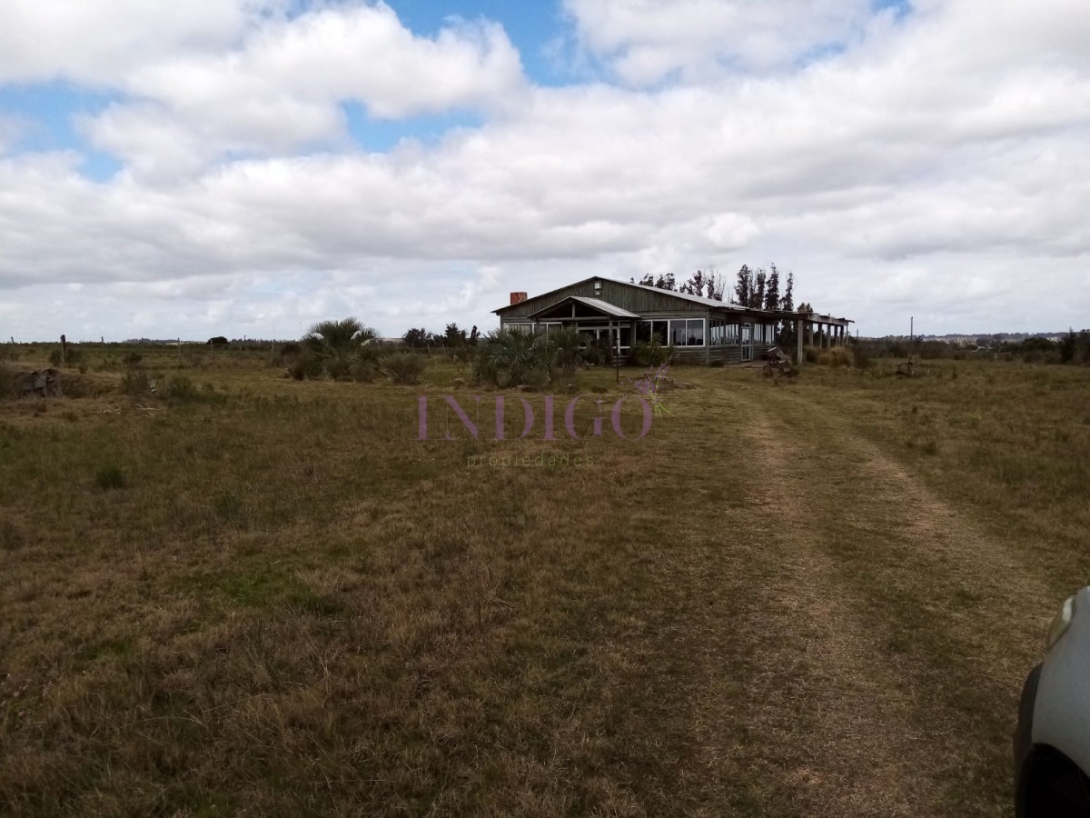 Chacra Ref.811 - Chacra en venta de 5 hectáreas con tajamar y casa