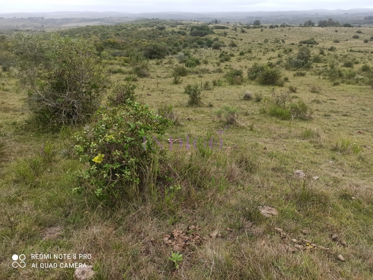 Chacra Ref.1152 - Chacra en zona de Las Cañas, Buenas Vistas con tajamar y arroyos!