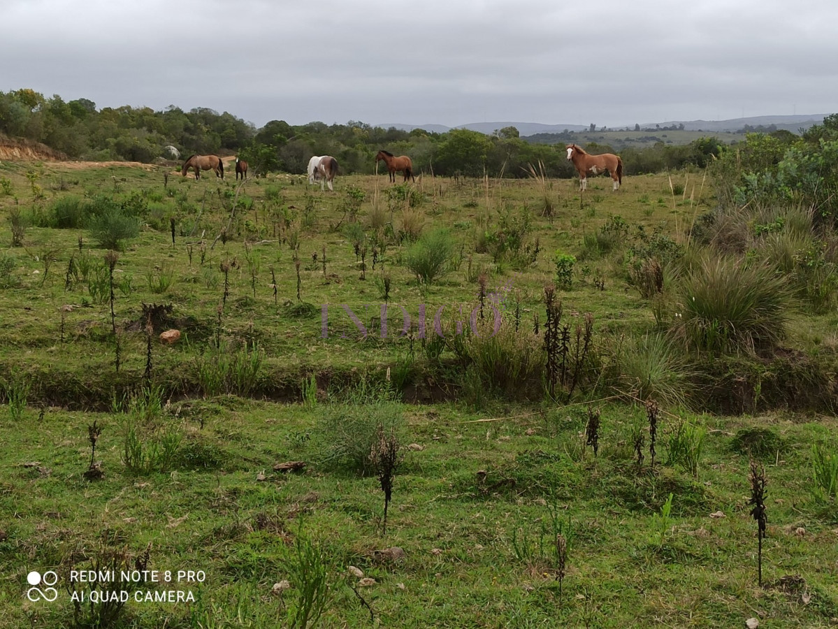 Chacra Ref.1152 - Chacra en zona de Las Cañas, Buenas Vistas con tajamar y arroyos!