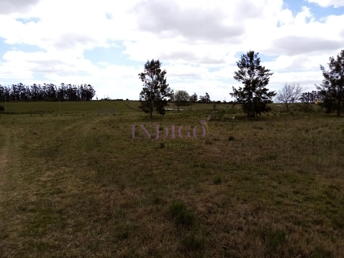 Chacra Ref.811 - Chacra en venta de 5 hectáreas con tajamar y casa