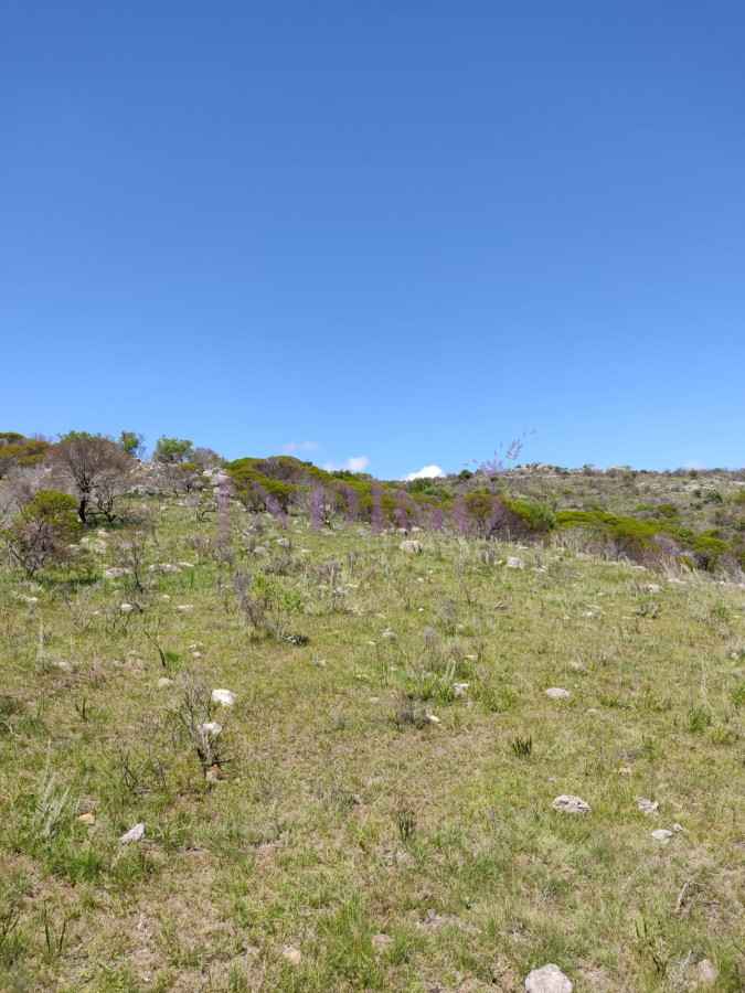 Campo Ref.637 - Campo en Pueblo Edén