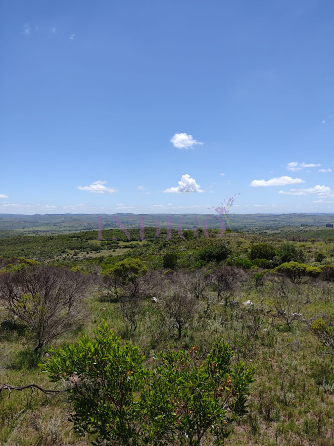 Campo Ref.637 - Campo en Pueblo Edén