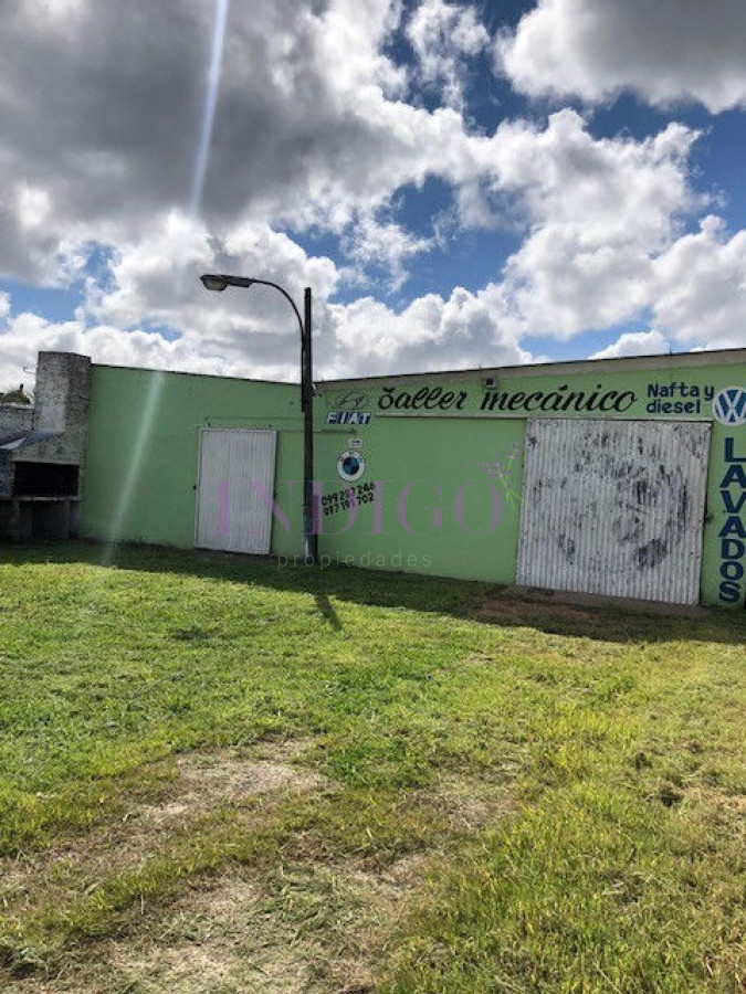 Local Comercial Ref.318 - Local en Maldonado, Maldonado