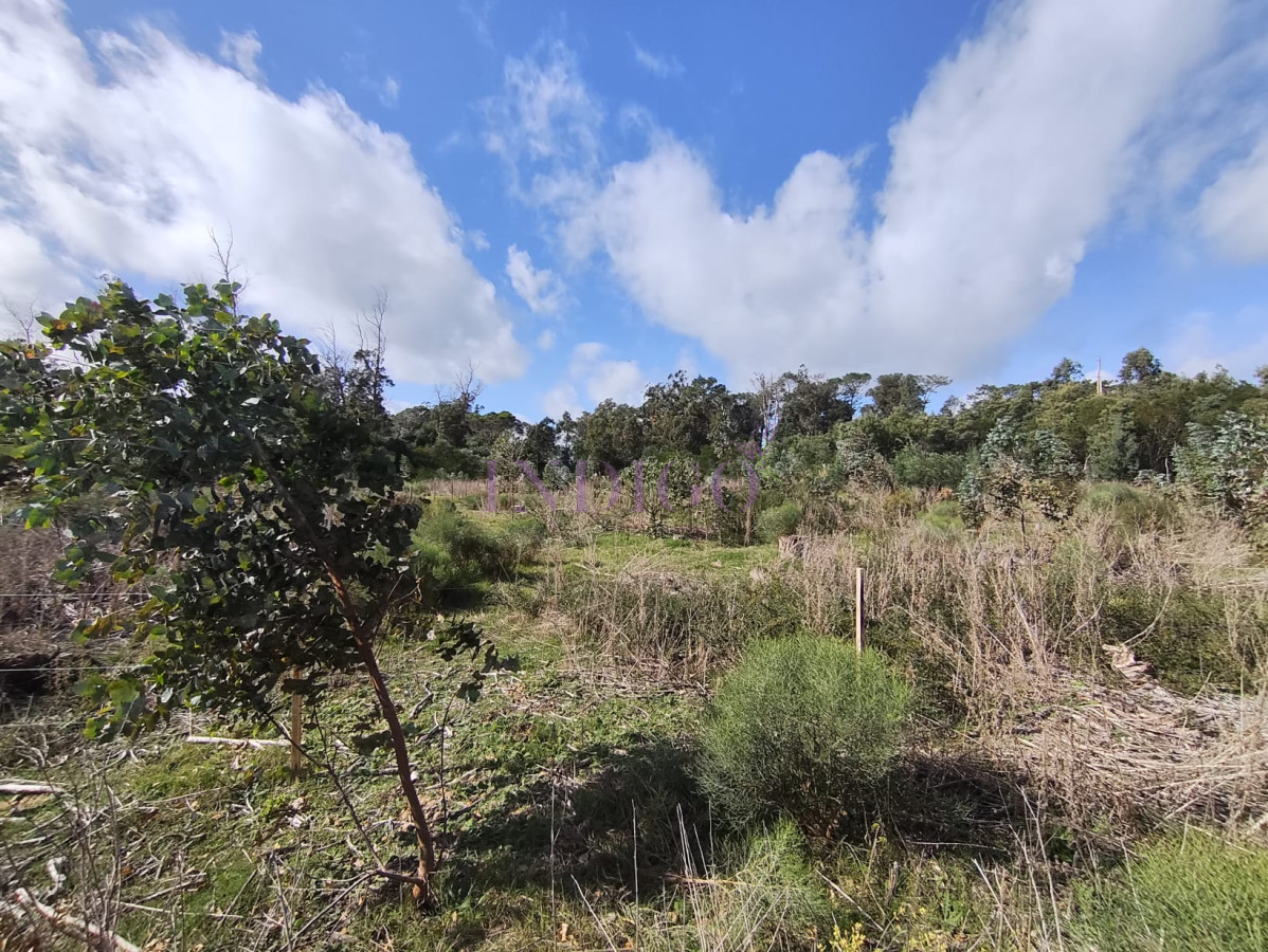 Terreno Ref.817 - Terreno en Eden Rock en Venta! 600mts a menos de 200mts del Mar!