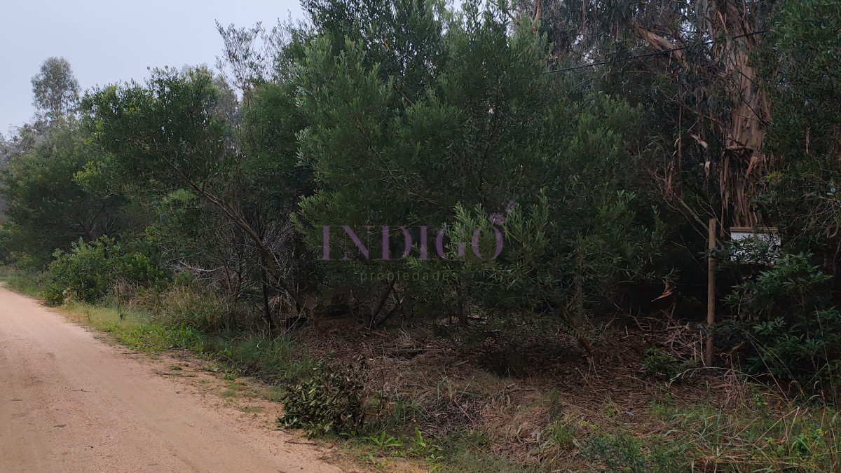 Terreno en Venta en Santa Monica - IDG1313T