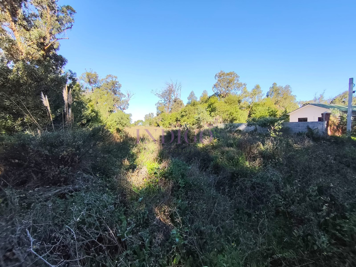 Terreno Ref.1312 - Terreno en Venta en Santa Monica