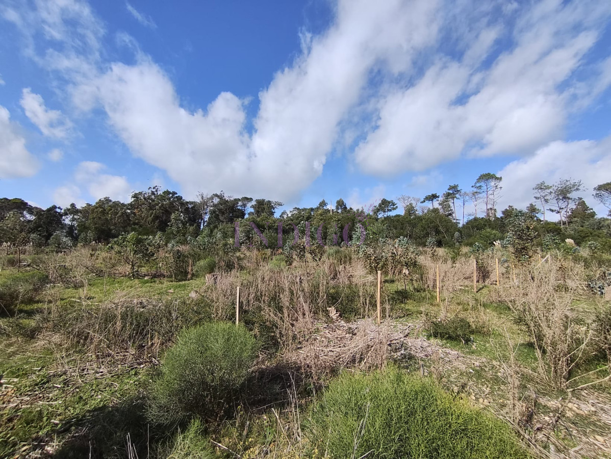 Terreno Ref.817 - Terreno en Eden Rock en Venta! 600mts a menos de 200mts del Mar!