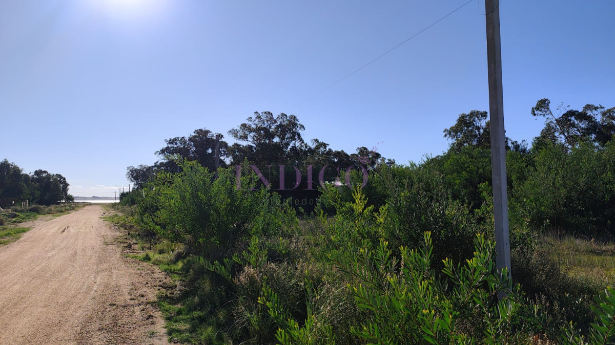 Santa Monica - GoPunta - Portal Inmobiliario de Punta del Este - Maldonado