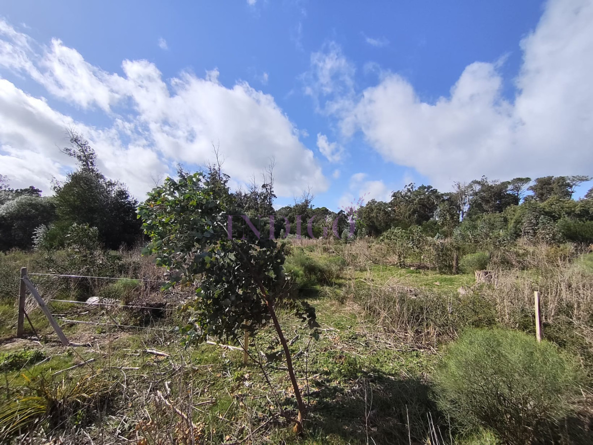 Terreno Ref.817 - Terreno en Eden Rock en Venta! 600mts a menos de 200mts del Mar!