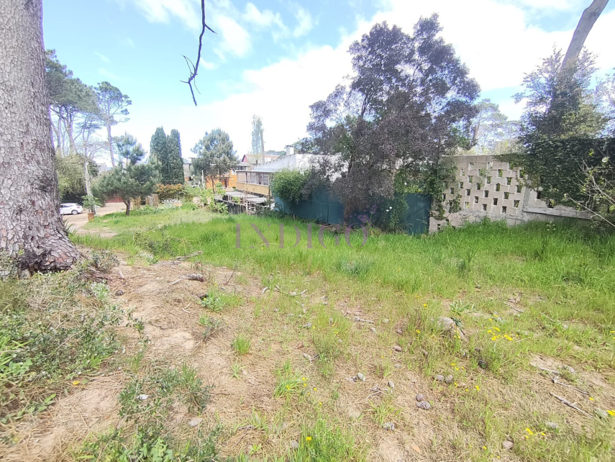 Terreno Ref.1418 - Terreno en Venta en Montoya