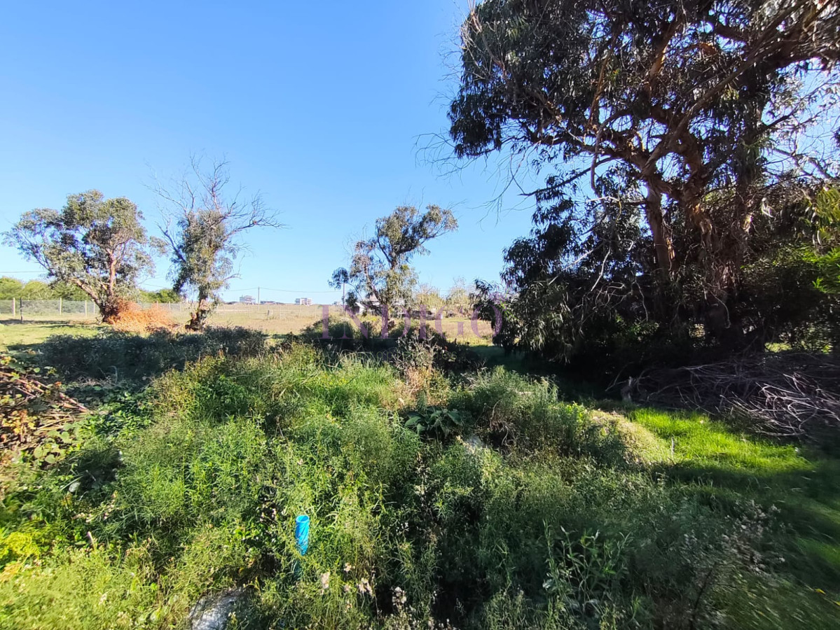Terreno Ref.1313 - Terreno en Venta en Santa Monica