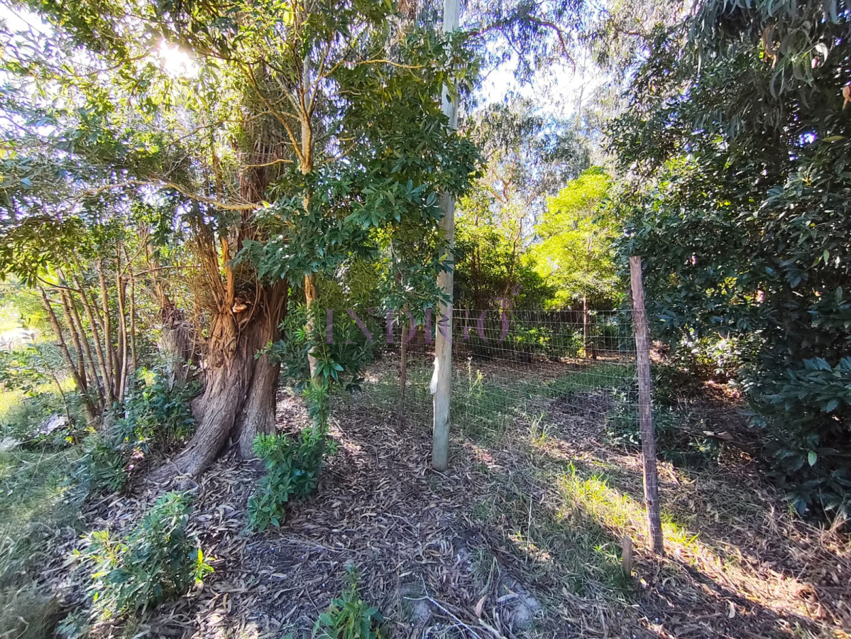 Terreno Ref.1230 - Terreno en Venta en Santa Monica