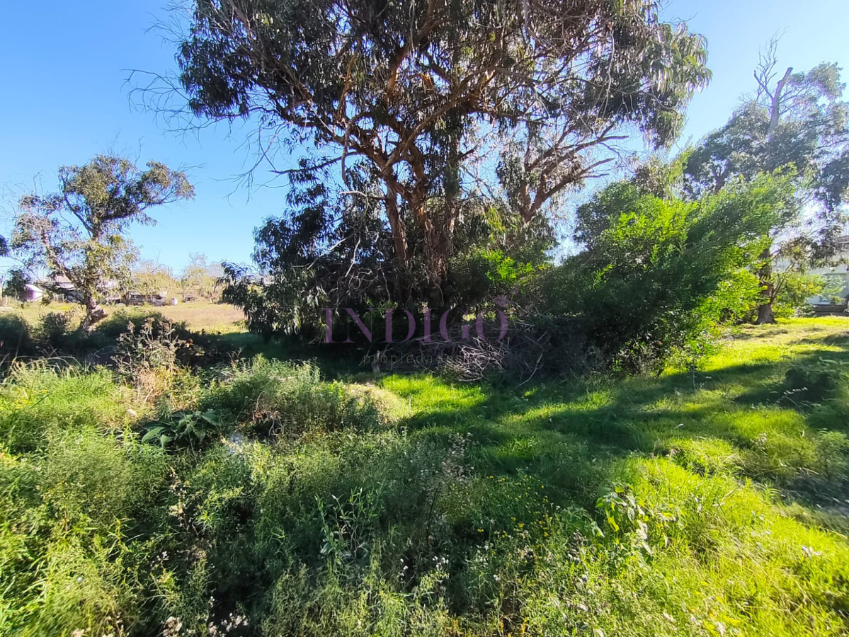 Terreno Ref.1313 - Terreno en Venta en Santa Monica