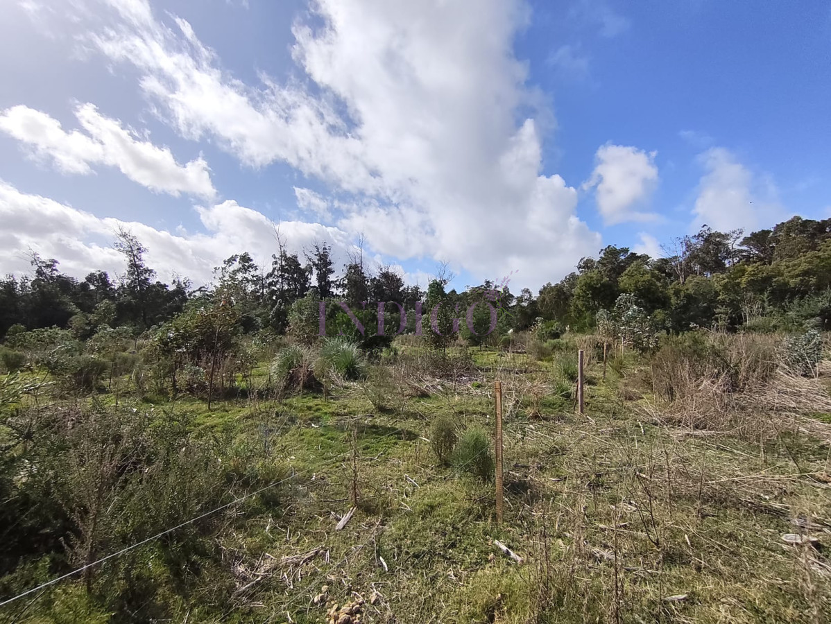 Terreno Ref.817 - Terreno en Eden Rock en Venta! 600mts a menos de 200mts del Mar!