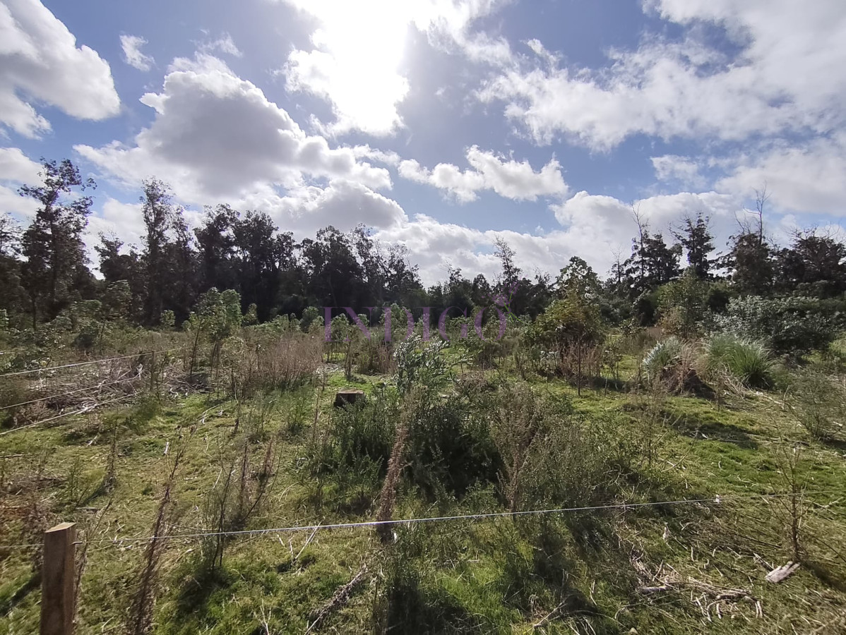 Terreno Ref.817 - Terreno en Eden Rock en Venta! 600mts a menos de 200mts del Mar!