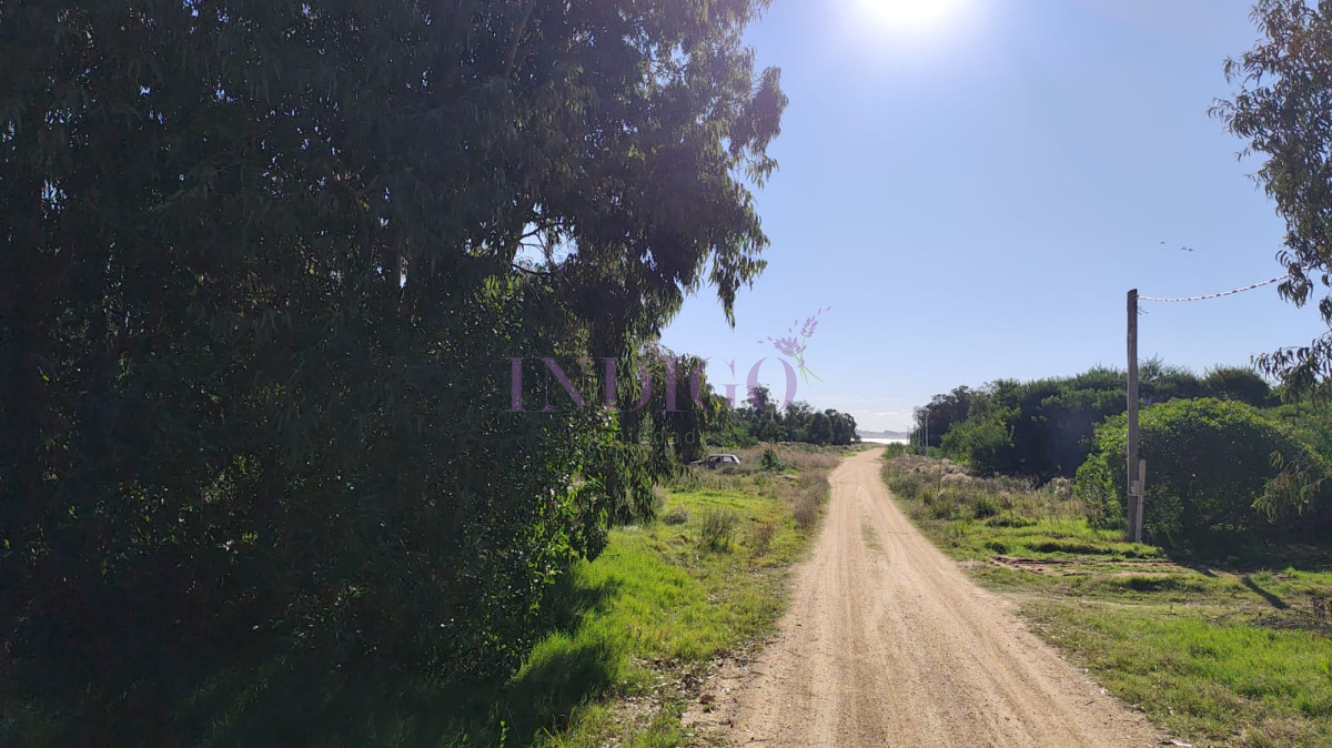 Terreno Ref.1315 - Terreno en Venta en Santa Monica